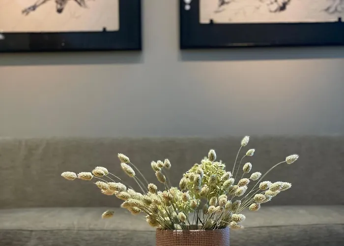 海兹基贝尔酒店