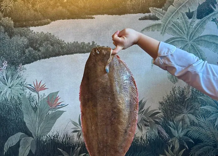 酒店 海兹基贝尔酒店